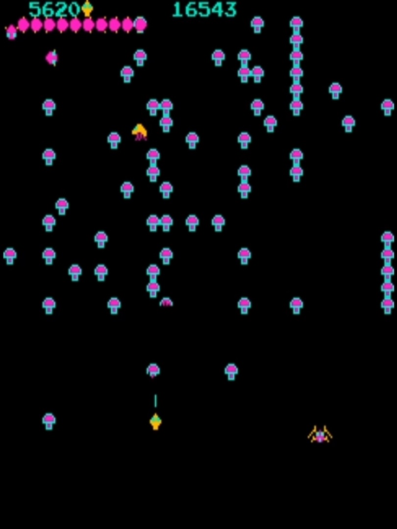 6a5d3069653551981 (centipede).jpg